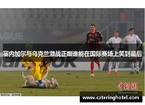 塞内加尔与乌克兰激战正酣谁能在国际赛场上笑到最后